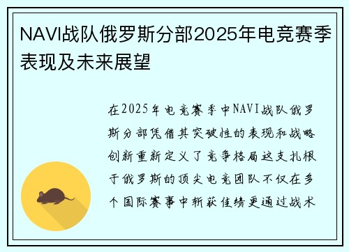 NAVI战队俄罗斯分部2025年电竞赛季表现及未来展望